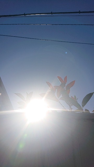f:id:makkosan70:20211002132209j:plain