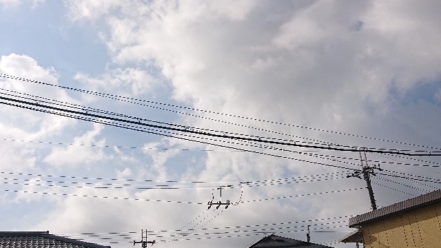 f:id:makkosan70:20211005104033j:plain