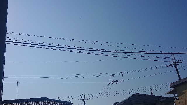 f:id:makkosan70:20211006141327j:plain