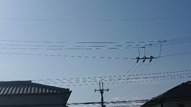 f:id:makkosan70:20211007135318j:plain