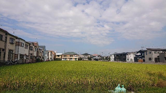 f:id:makkosan70:20211007135415j:plain