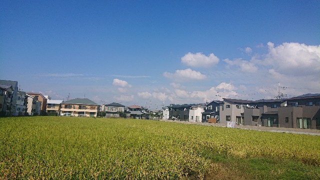 f:id:makkosan70:20211009133033j:plain