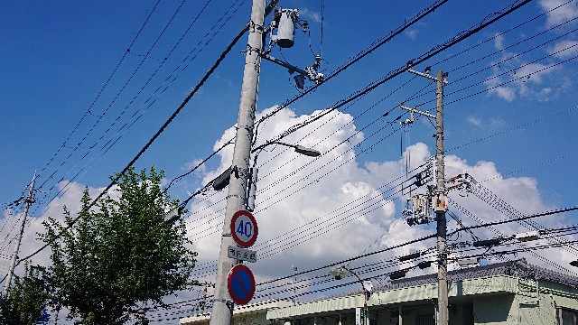 f:id:makkosan70:20211009133158j:plain
