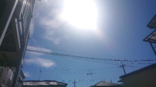 f:id:makkosan70:20211010113411j:plain