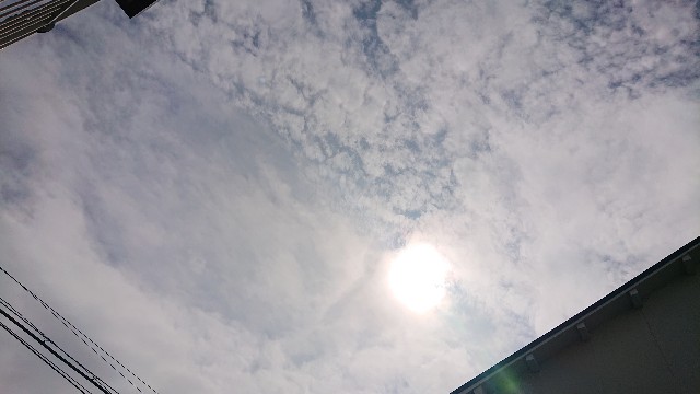 f:id:makkosan70:20211013130125j:plain