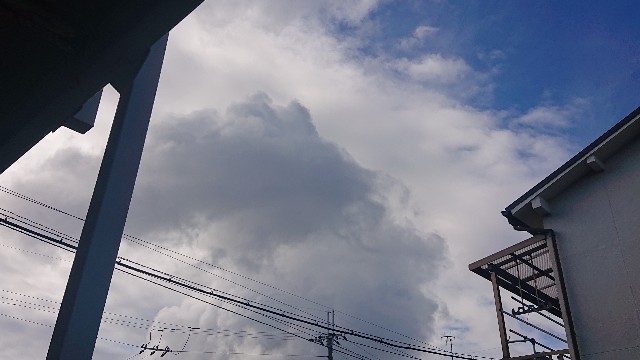 f:id:makkosan70:20211017133624j:plain