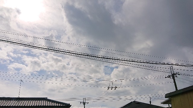 f:id:makkosan70:20211019131048j:plain