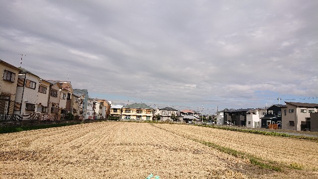 f:id:makkosan70:20211019131137j:plain