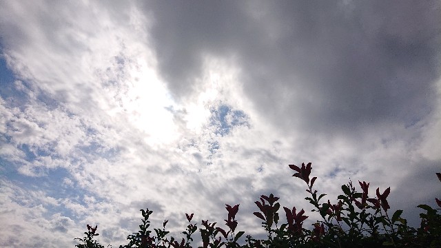f:id:makkosan70:20211019131145j:plain