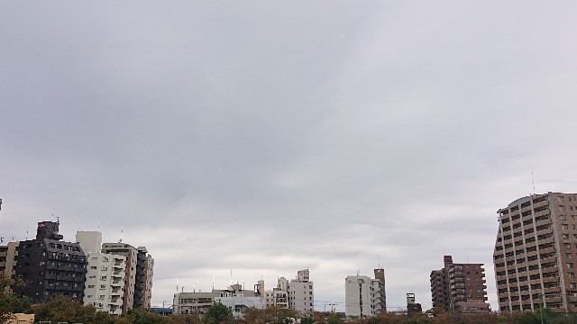 f:id:makkosan70:20211019131331j:plain
