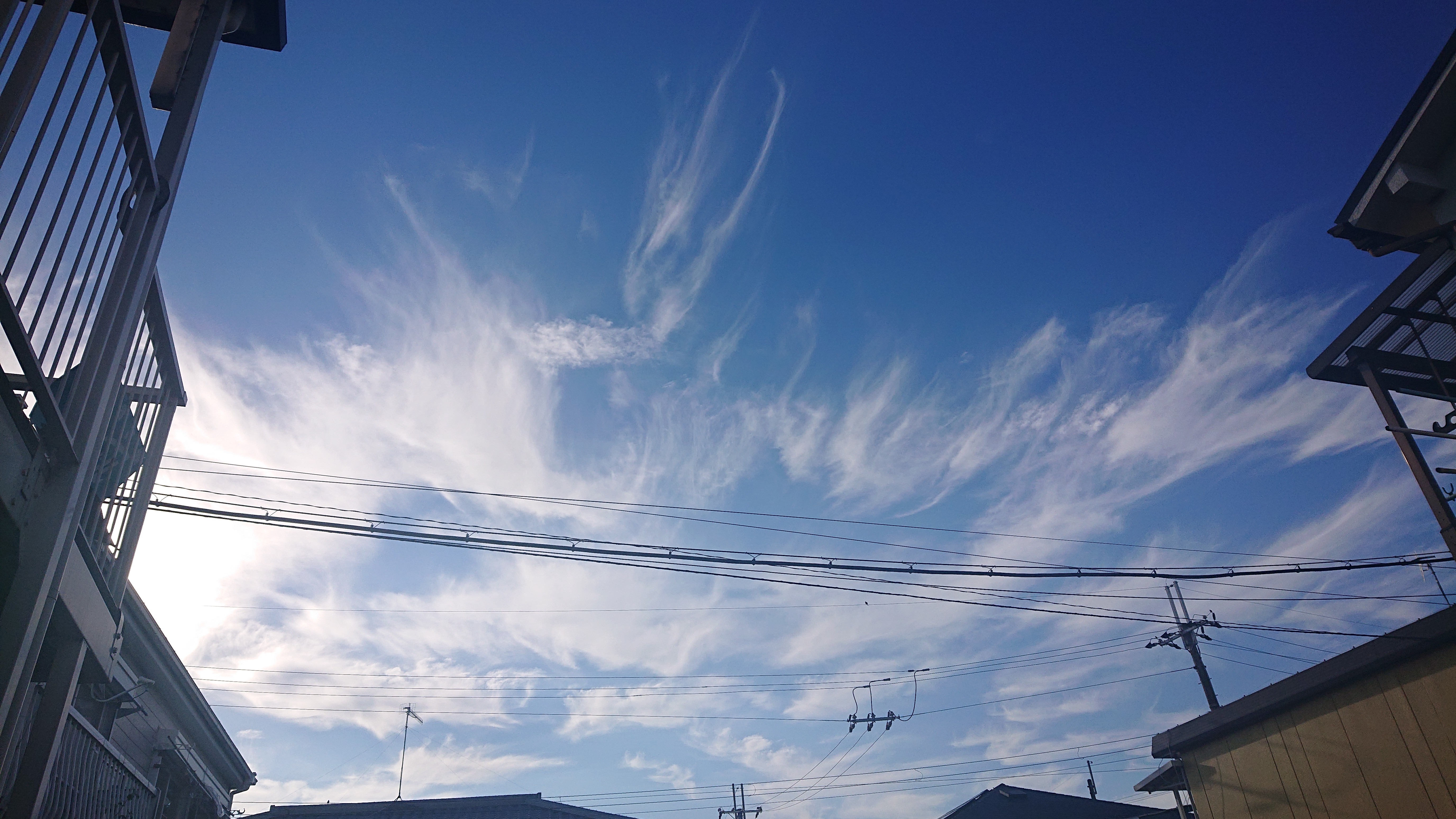 f:id:makkosan70:20211027141340j:plain