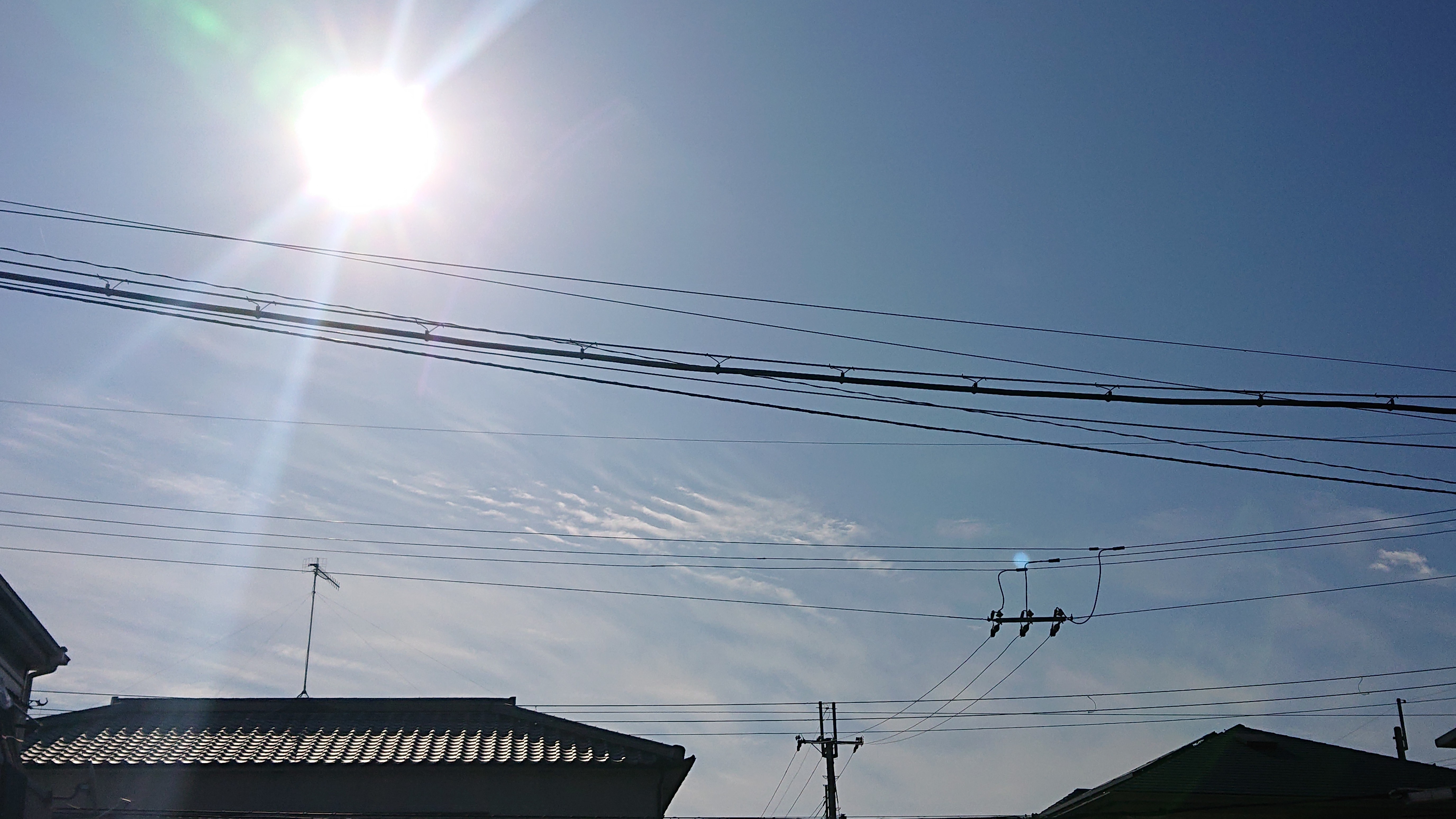 f:id:makkosan70:20211101140609j:plain