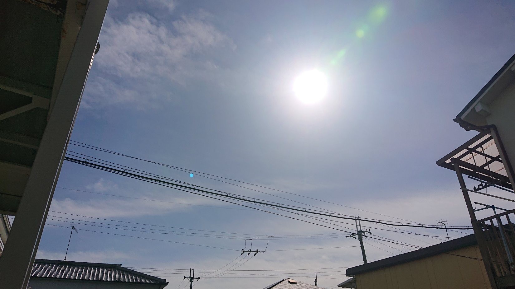 f:id:makkosan70:20211108135921j:plain