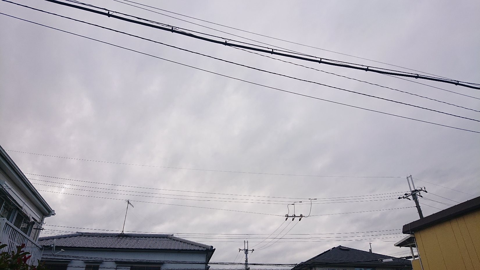 f:id:makkosan70:20211108140215j:plain