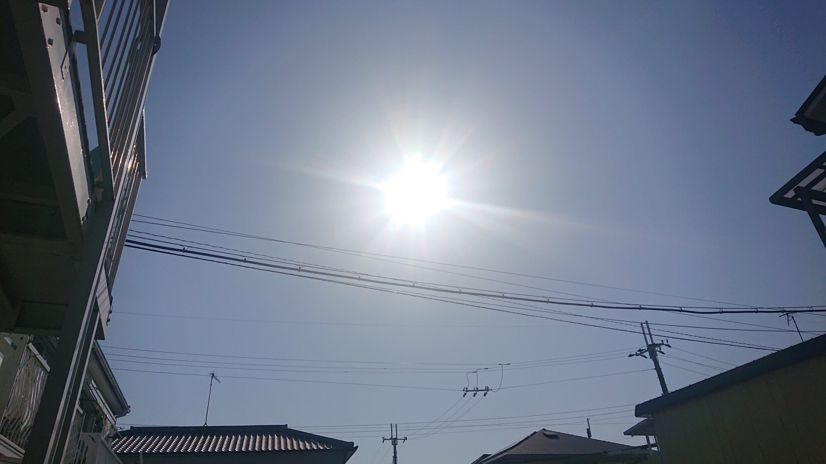f:id:makkosan70:20211117132106j:plain