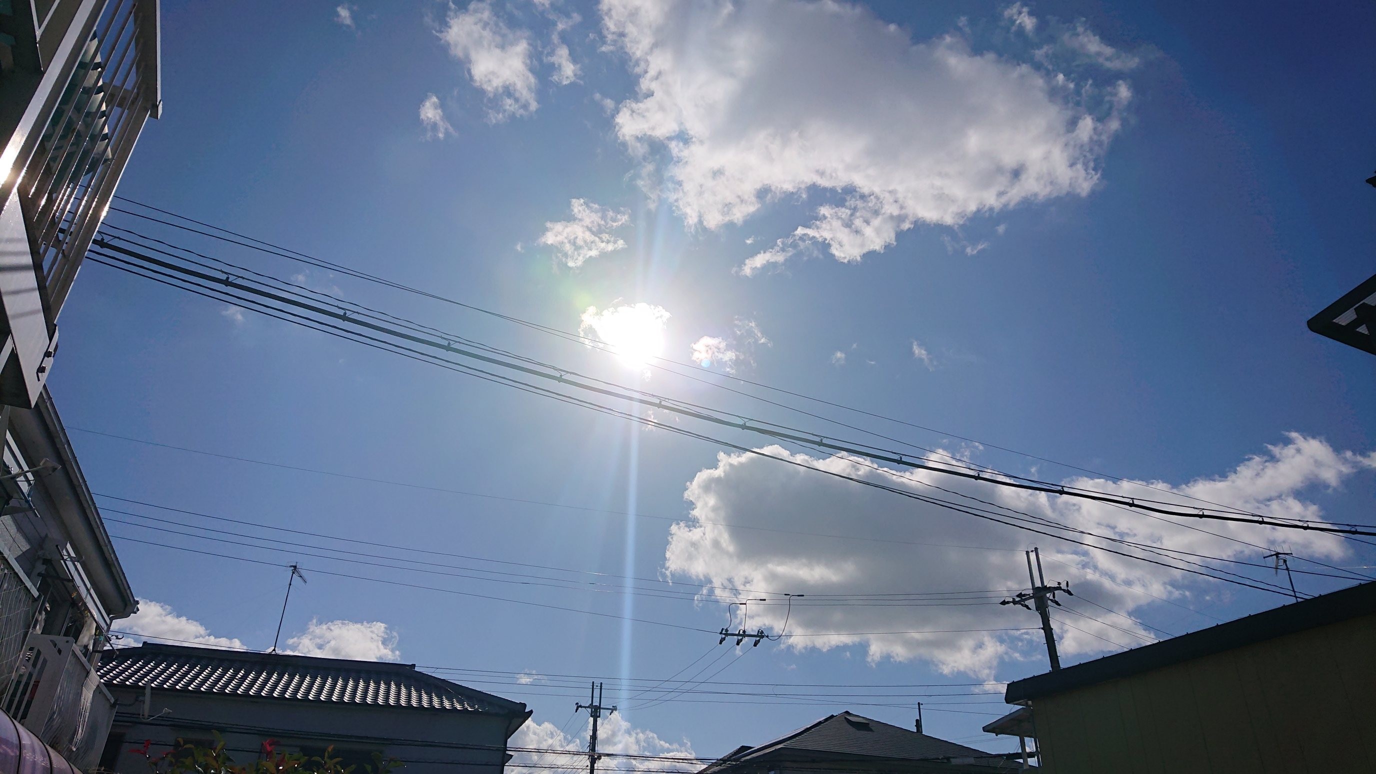 f:id:makkosan70:20211124140102j:plain