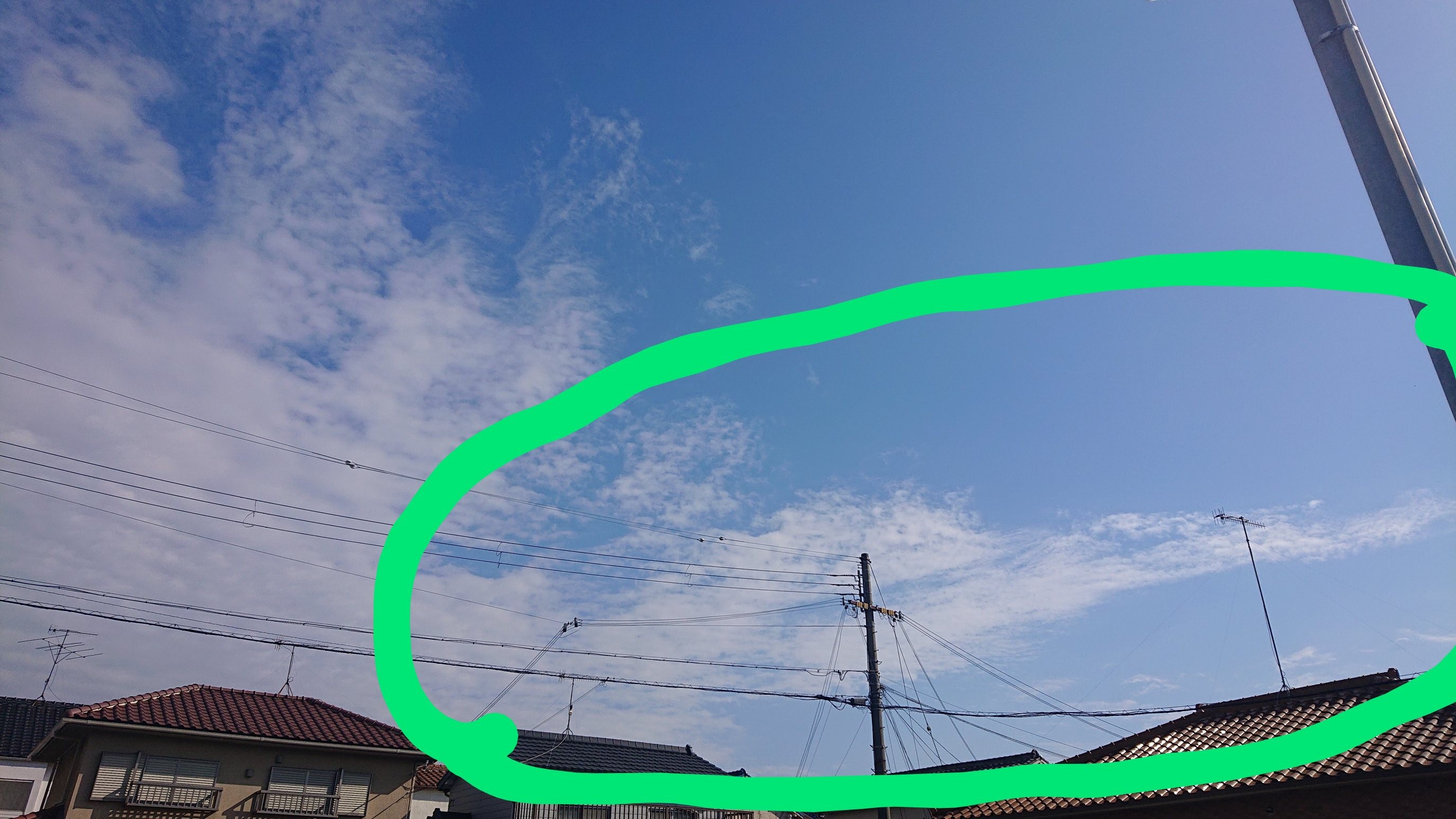 f:id:makkosan70:20211125134249j:plain