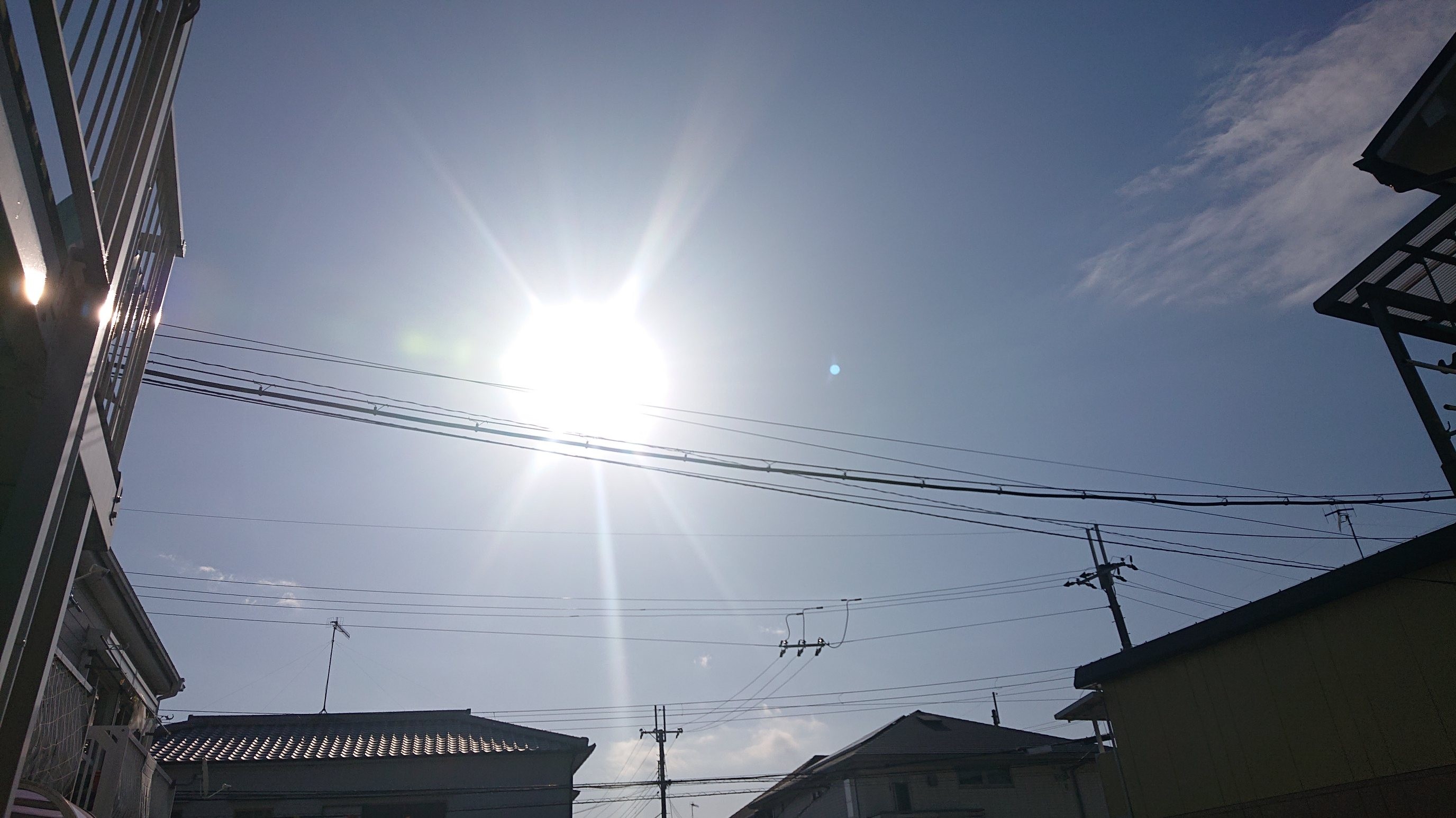 f:id:makkosan70:20211125140816j:plain