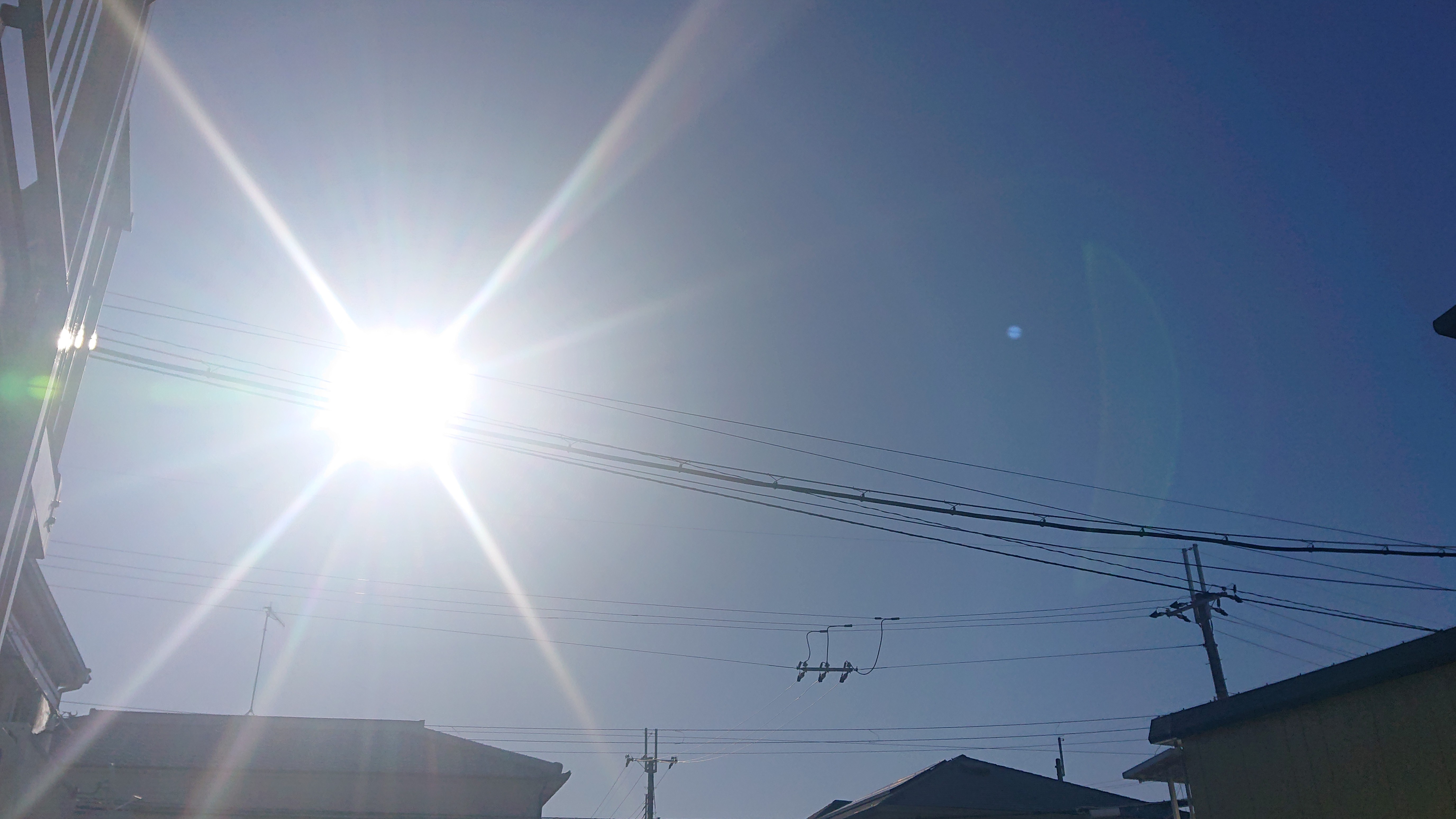f:id:makkosan70:20211128112633j:plain