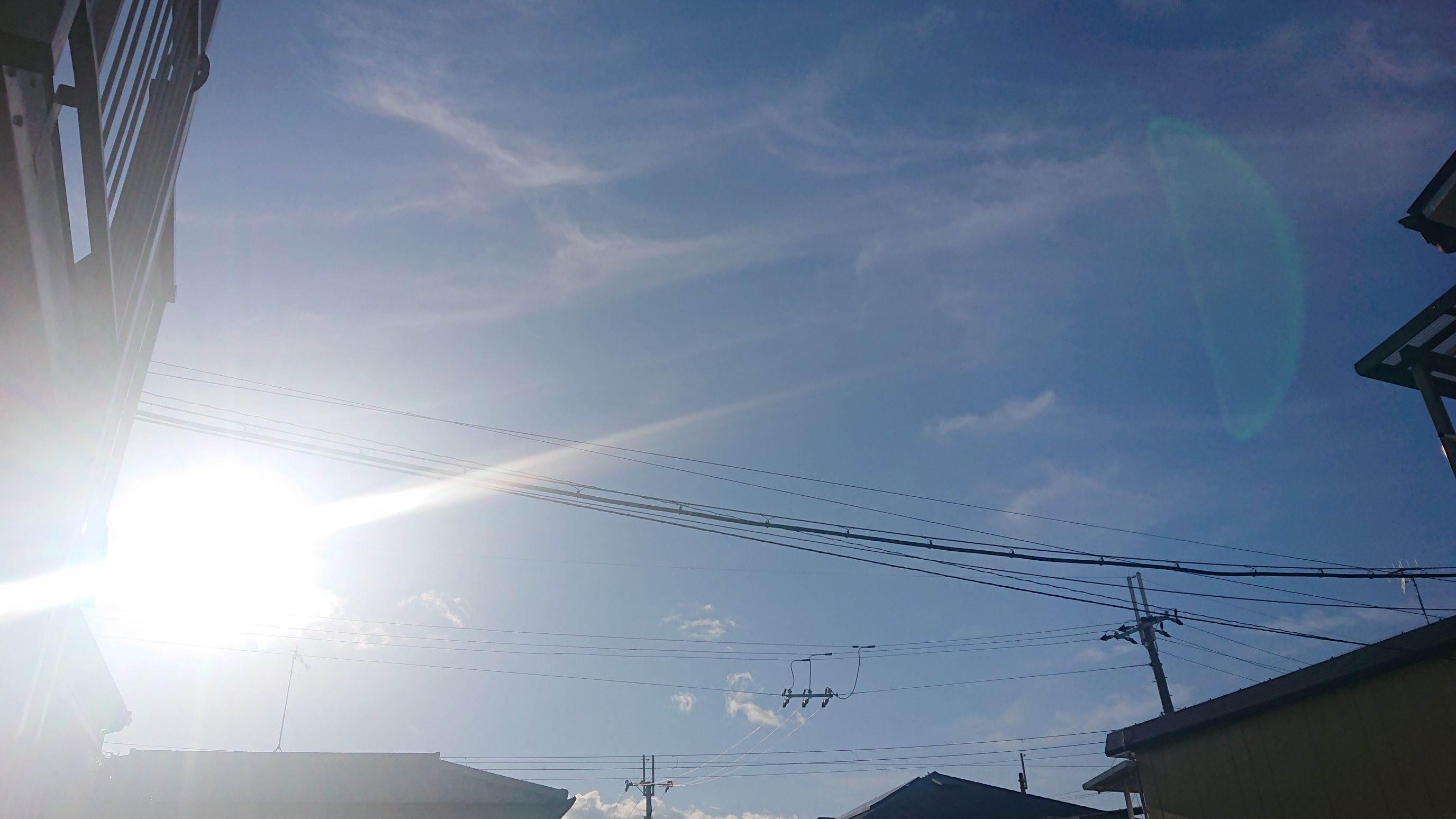 f:id:makkosan70:20211130141203j:plain
