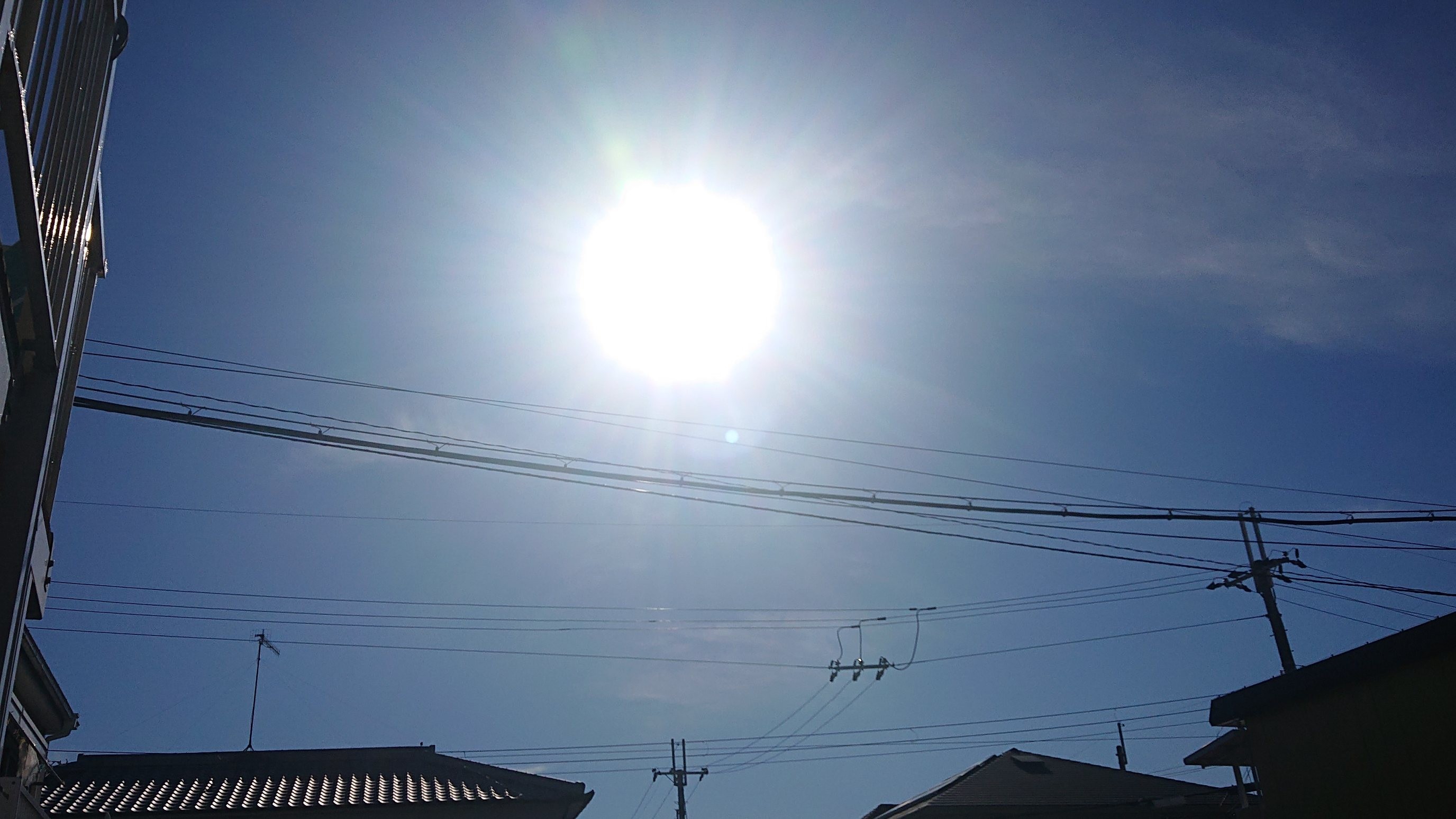 f:id:makkosan70:20211130141219j:plain