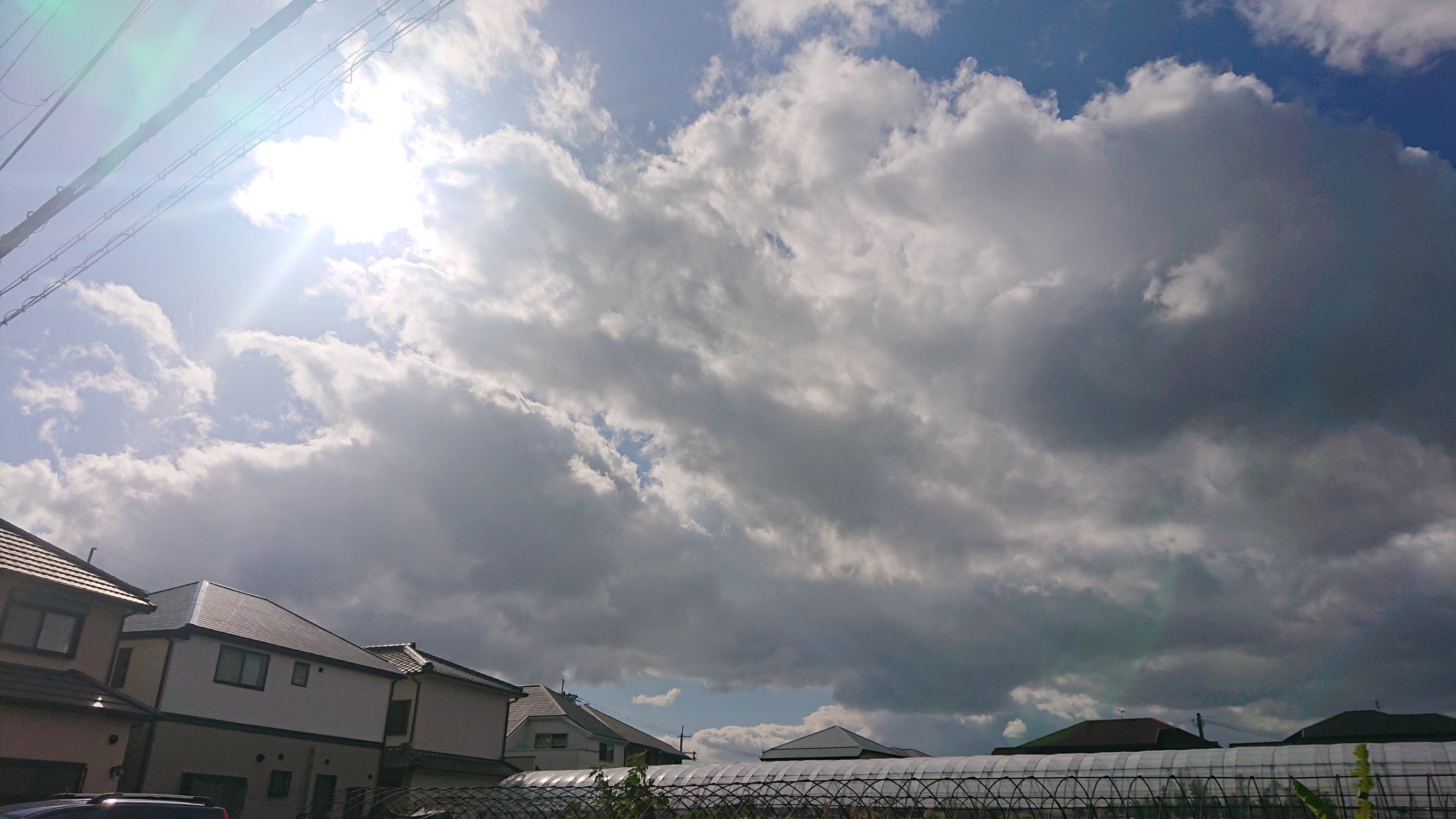 f:id:makkosan70:20211201140508j:plain