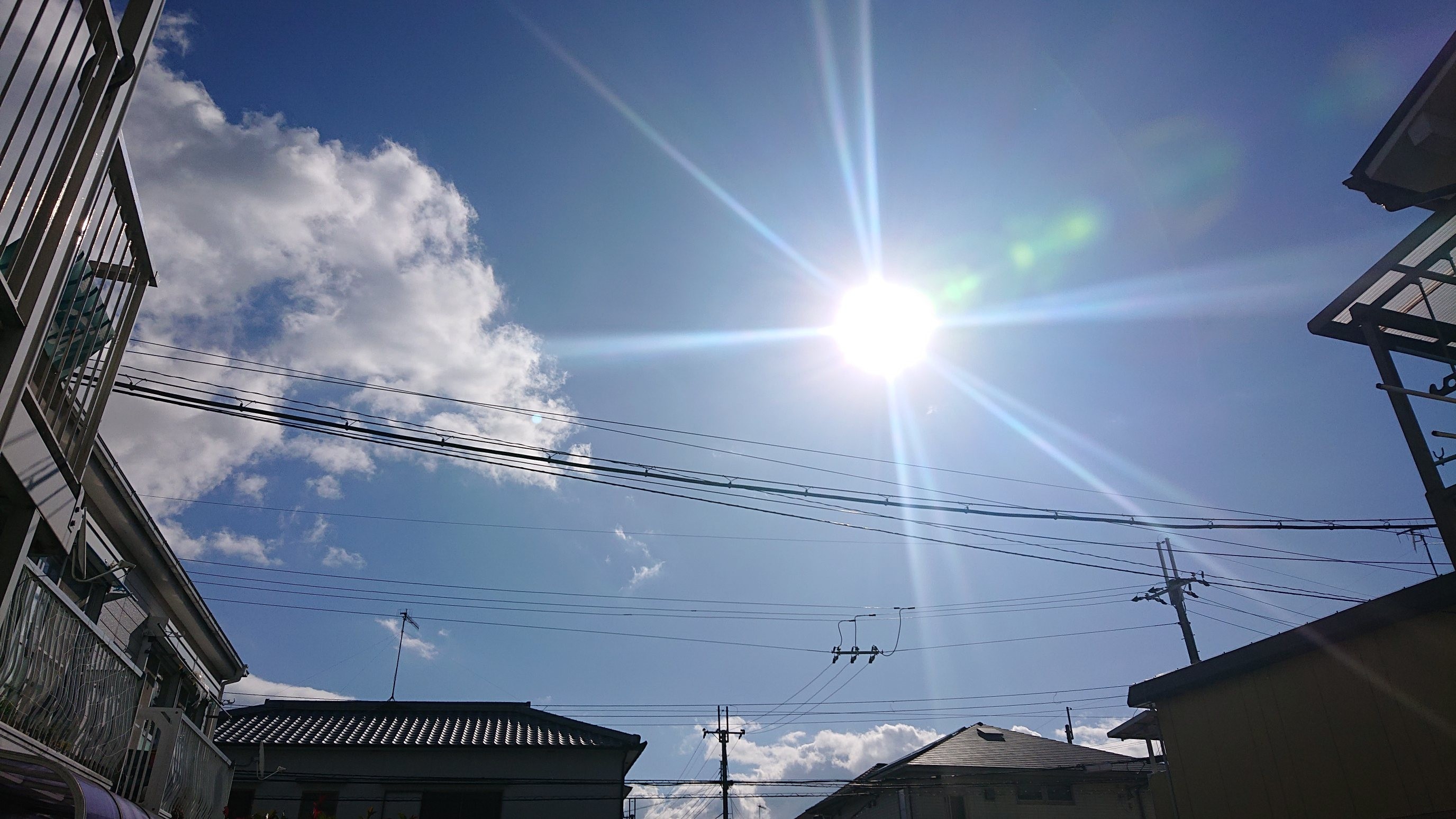 f:id:makkosan70:20211201140712j:plain