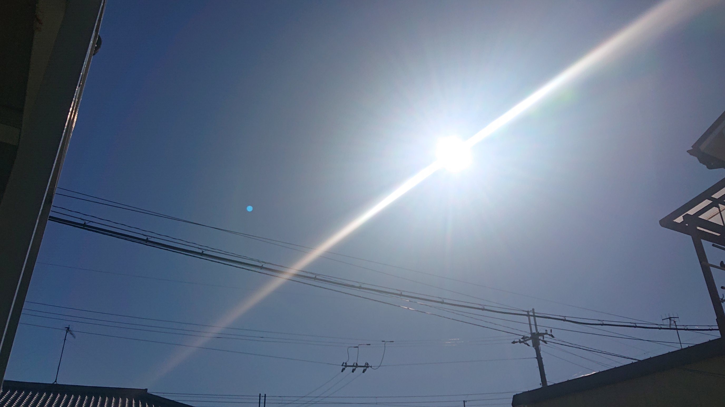 f:id:makkosan70:20211202134351j:plain