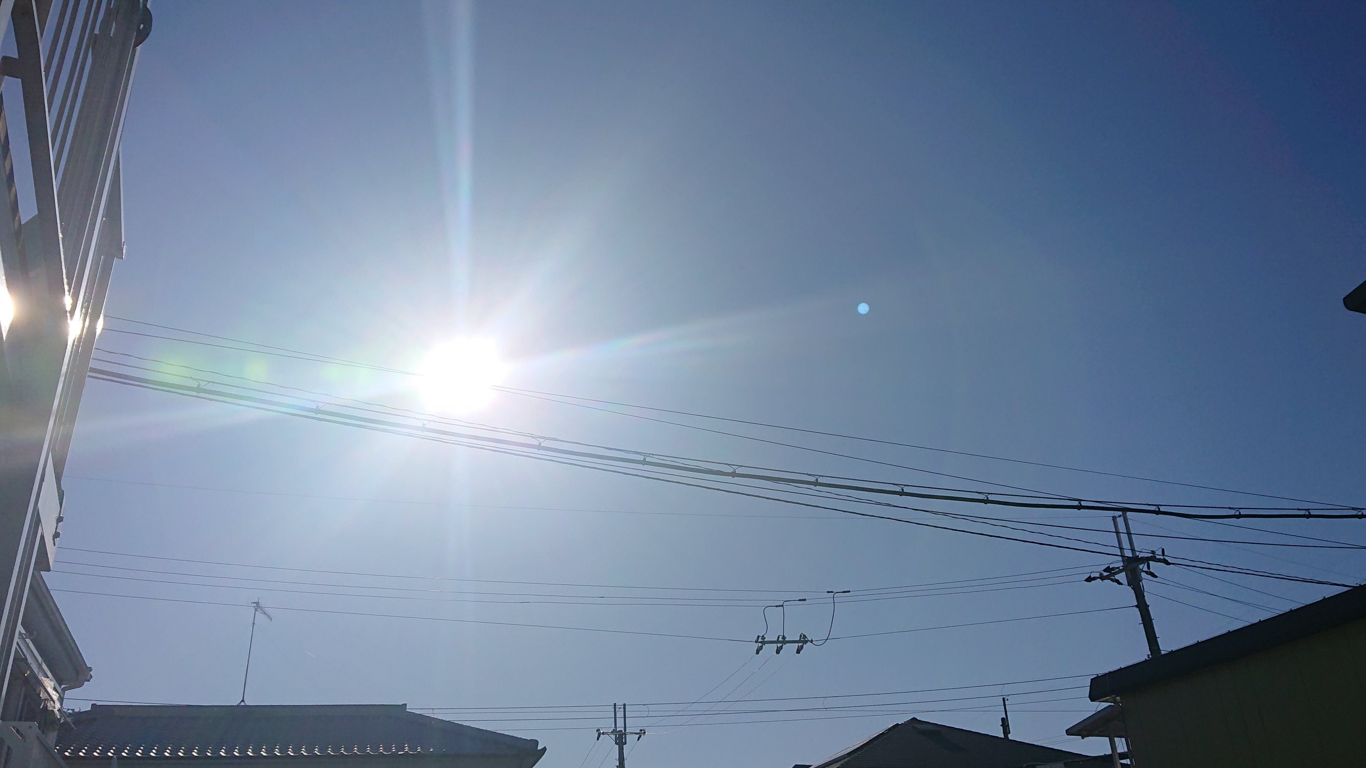 f:id:makkosan70:20211202134458j:plain
