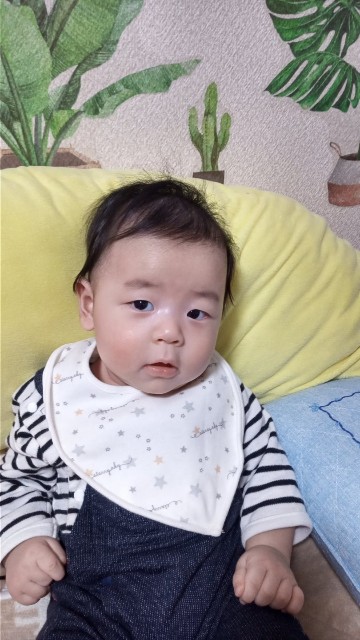 f:id:makkosan70:20211209131406j:plain