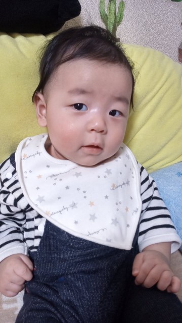 f:id:makkosan70:20211209144615j:plain