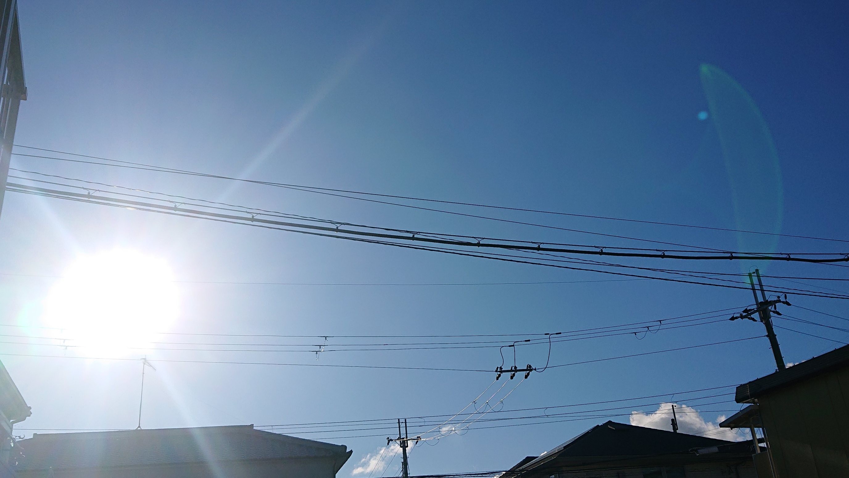 f:id:makkosan70:20211218124832j:plain