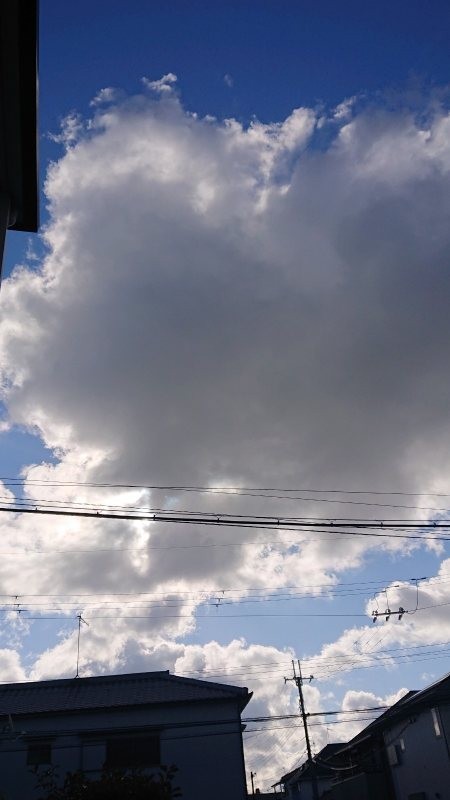 f:id:makkosan70:20211227132035j:plain