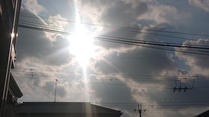 f:id:makkosan70:20211230125402j:plain