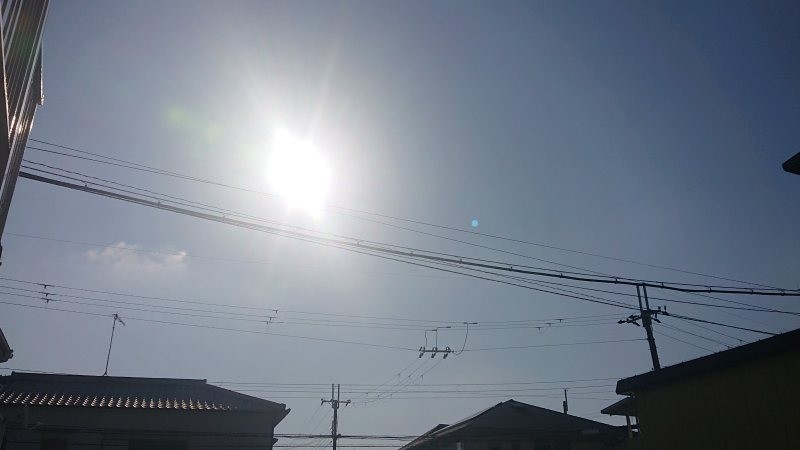 f:id:makkosan70:20220104125753j:plain