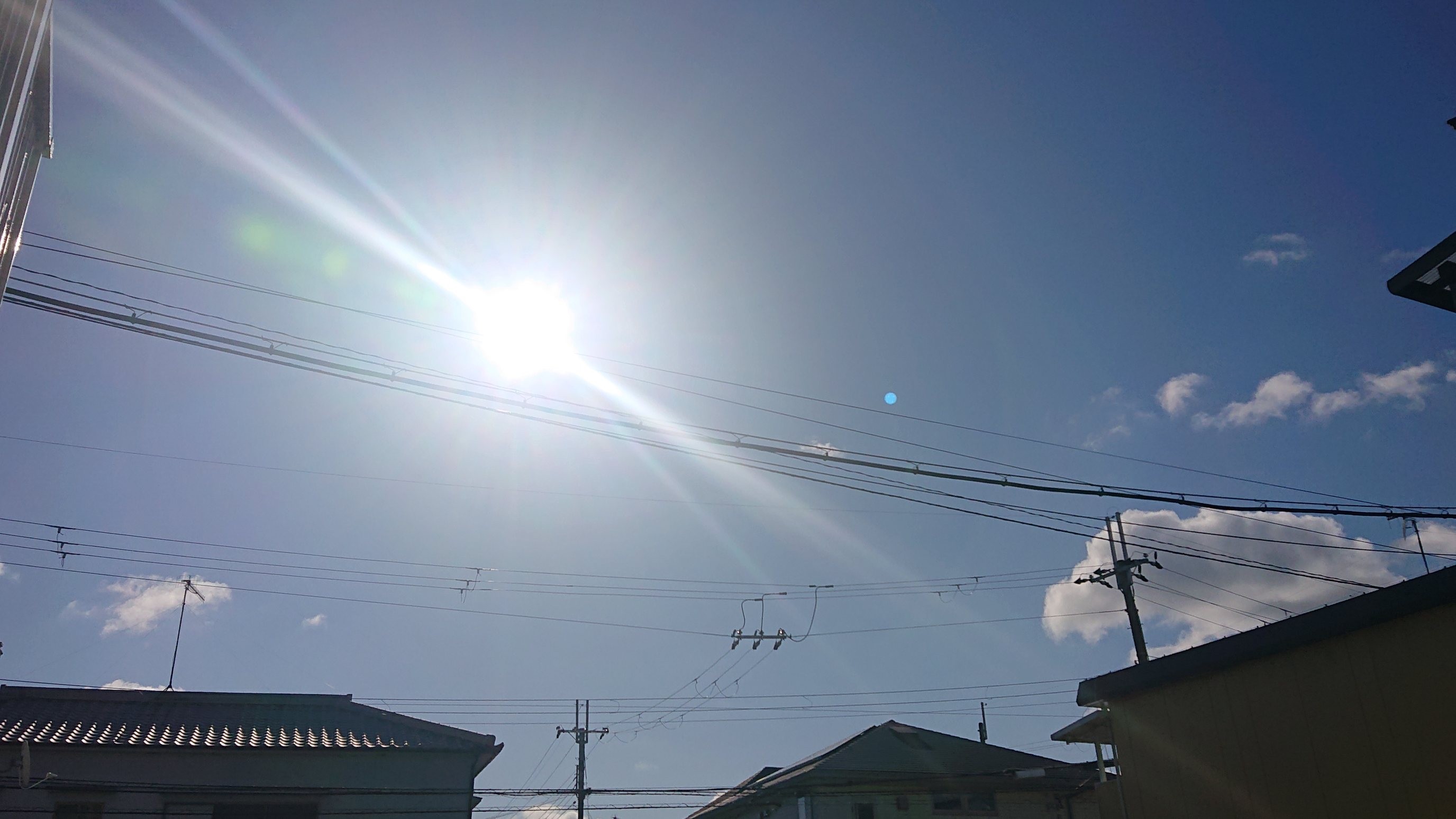 f:id:makkosan70:20220105130703j:plain