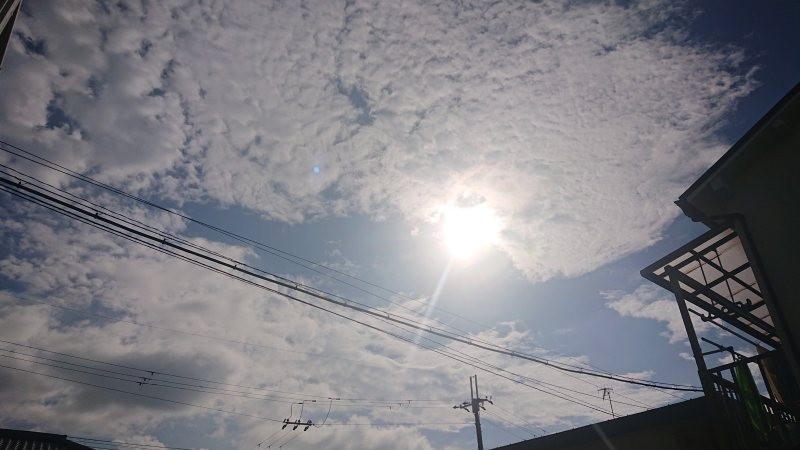 f:id:makkosan70:20220106135947j:plain