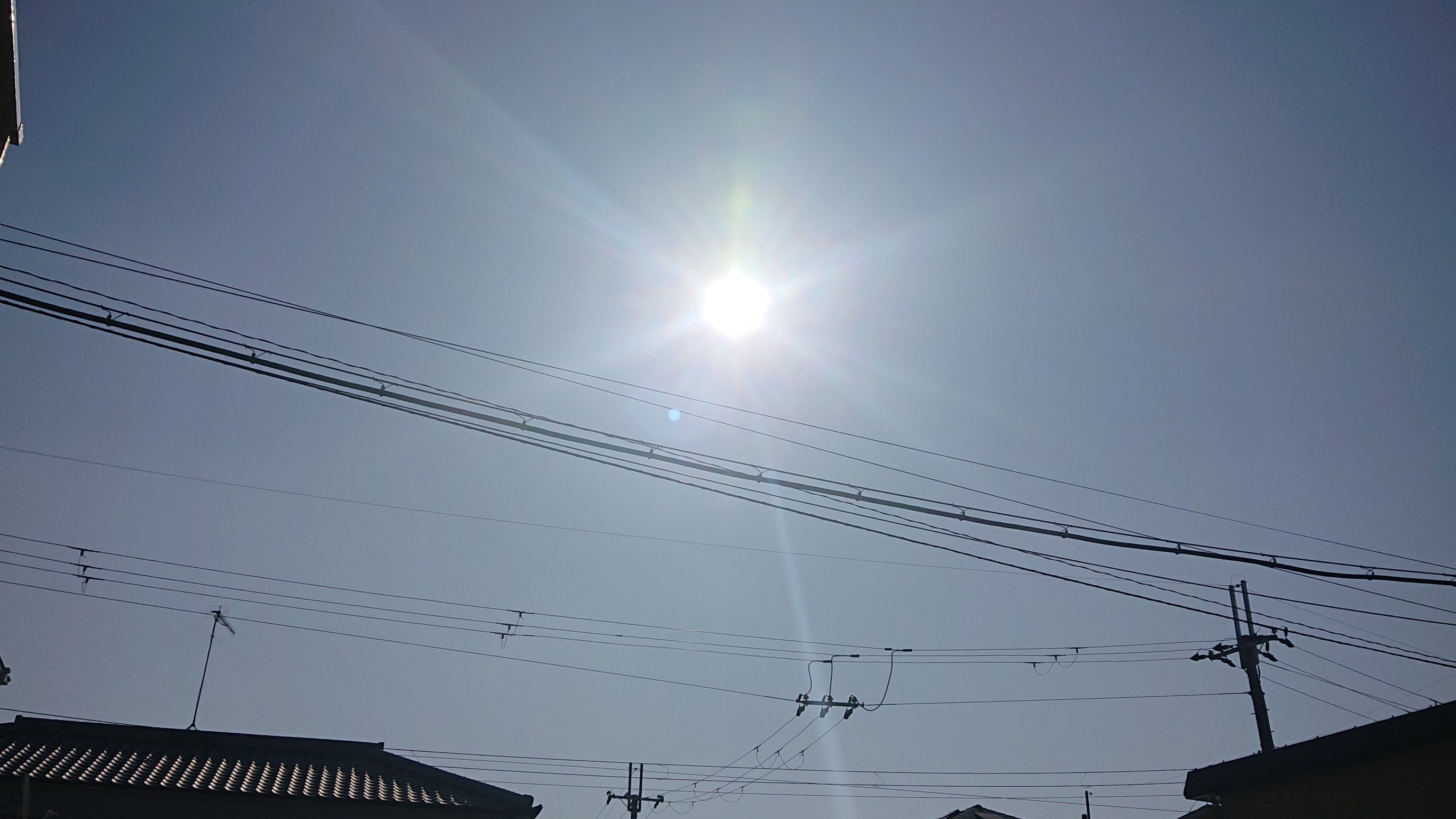 f:id:makkosan70:20220110140718j:plain