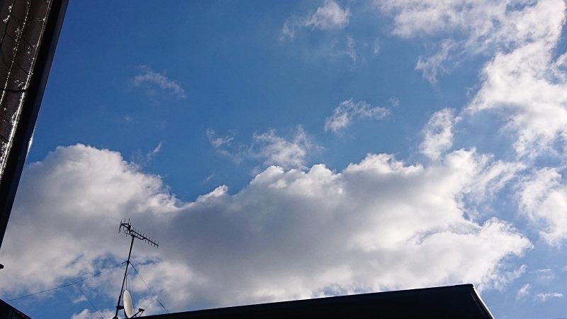 f:id:makkosan70:20220118142952j:plain