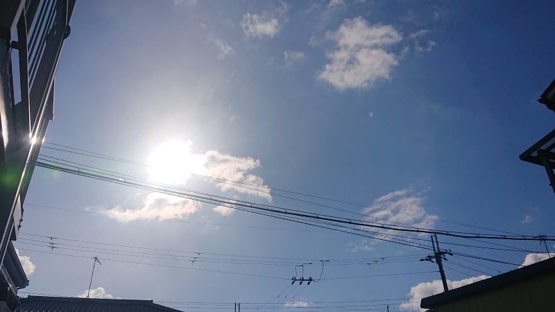 f:id:makkosan70:20220118143023j:plain