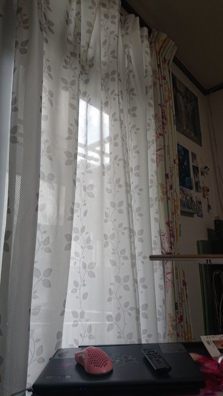 f:id:makkosan70:20220118143037j:plain