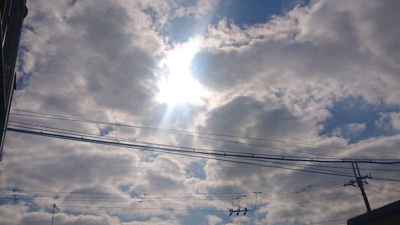 f:id:makkosan70:20220122130613j:plain