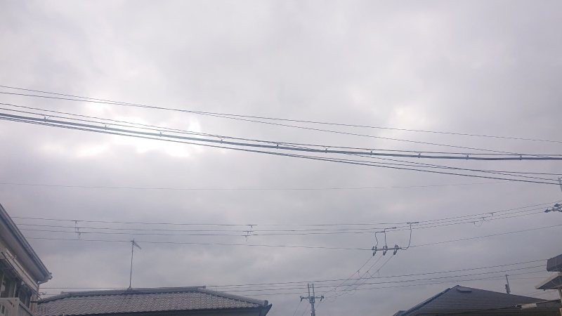 f:id:makkosan70:20220124113156j:plain