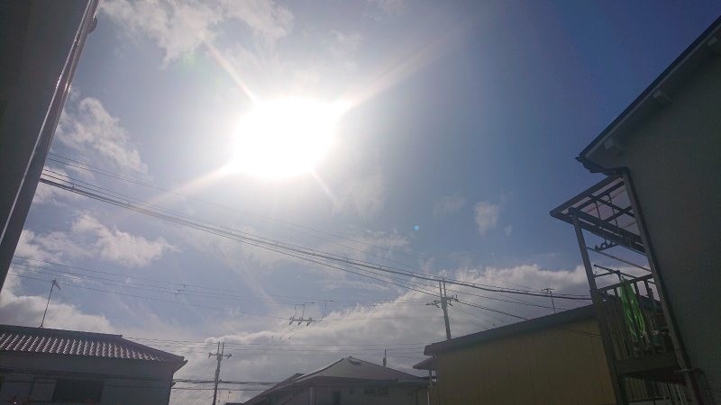 f:id:makkosan70:20220124113231j:plain