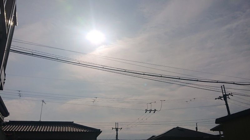 f:id:makkosan70:20220126145639j:plain