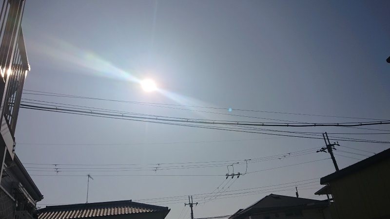f:id:makkosan70:20220128135157j:plain