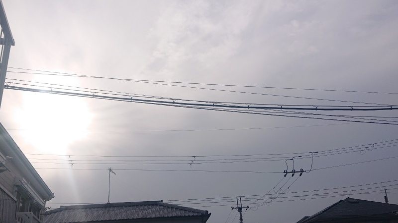 f:id:makkosan70:20220129131602j:plain