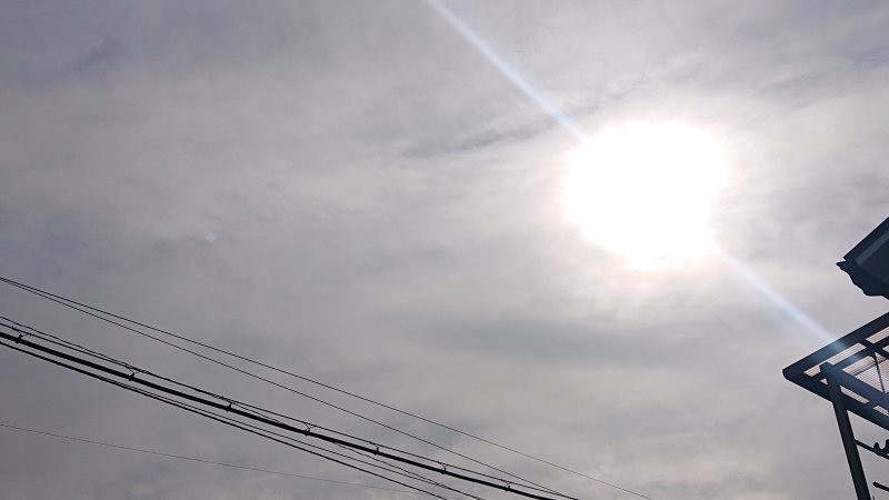 f:id:makkosan70:20220129131614j:plain