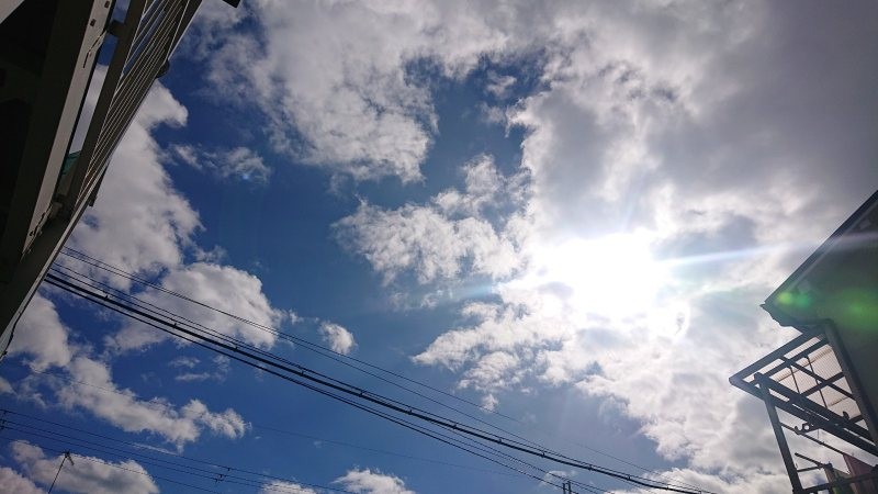 f:id:makkosan70:20220131130556j:plain
