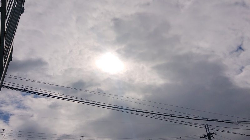 f:id:makkosan70:20220131130613j:plain